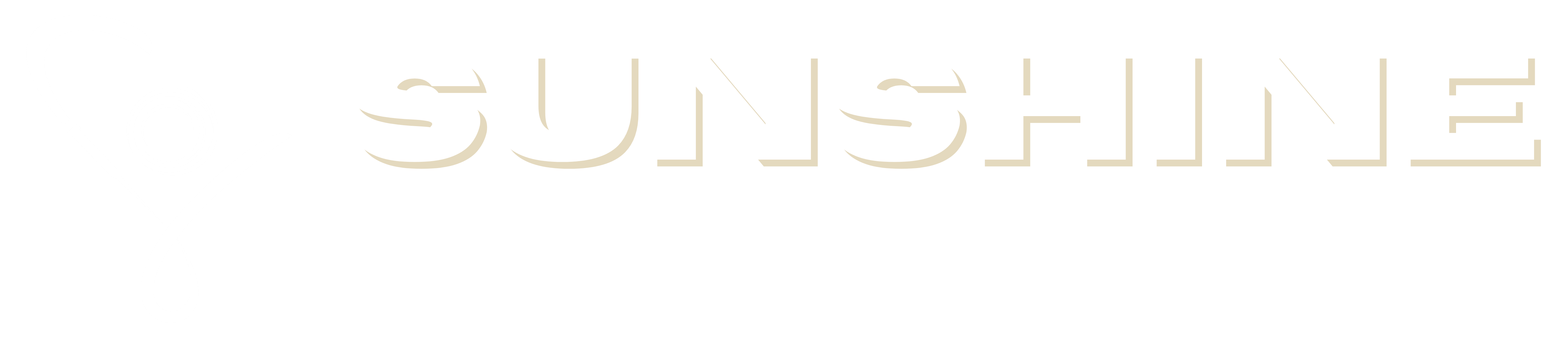 Sunshine  Acupuncture & Wellness Clinic